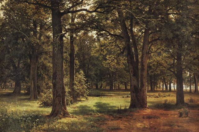 В заповедной дубовой роще Петра Великого (в Сыстрорецке) 1886