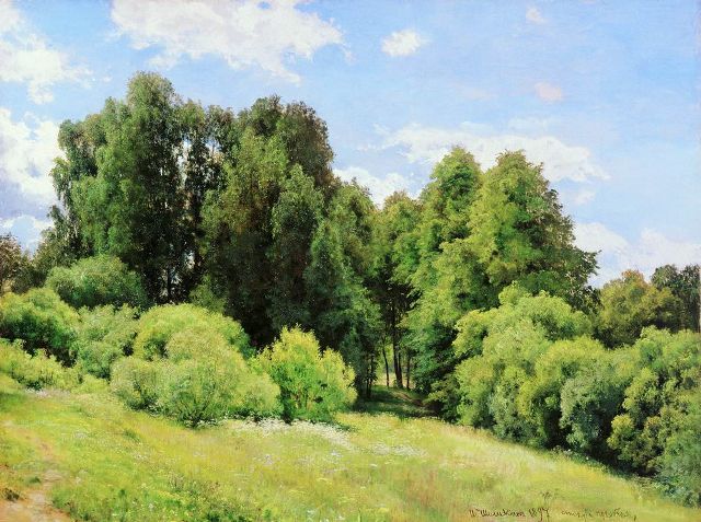 Лесная поляна (Полянка) 1897
