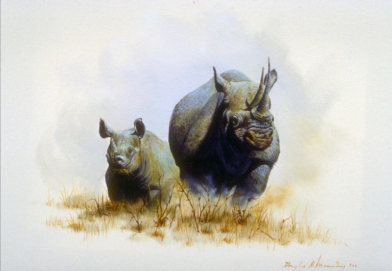Семейство носорогов