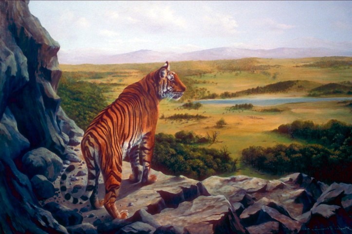 Тигр, смотрящий вдаль