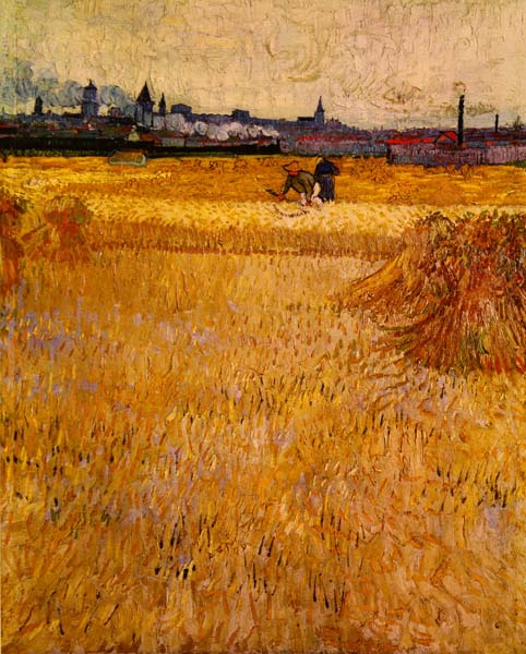 Вид на Арли с пшеничного поля