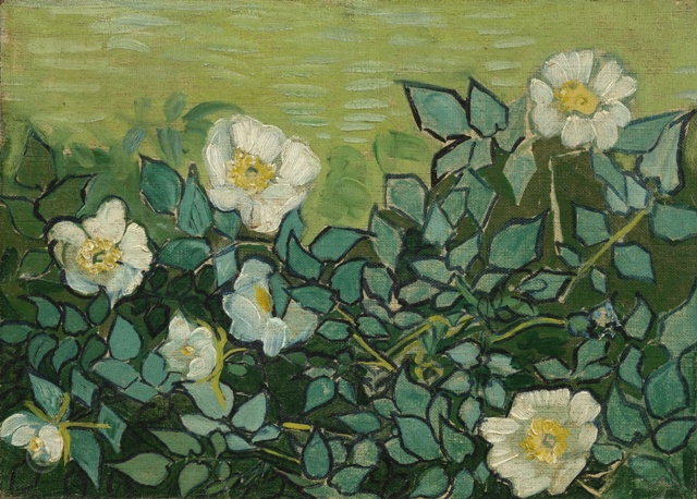 Репродукция картины 'Дикие розы' Ван Гог Винсент. Купить