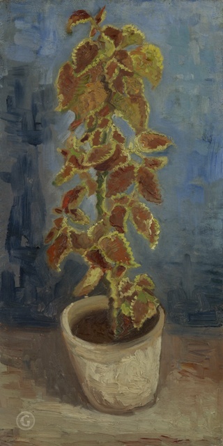 Репродукция картины 'Колеус в цветочном горшке' Ван Гог Винсент. Купить