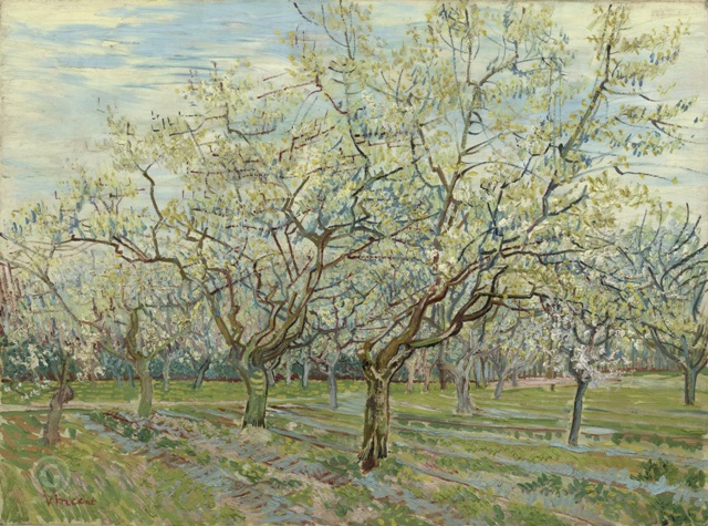 Репродукция картины 'Сад с цветущими сливами' Ван Гог Винсент. Купить
