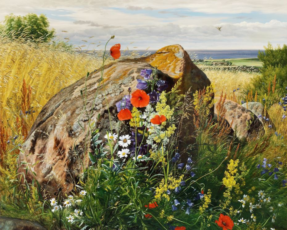 Репродукция картины 'Полевые цветы на кукурузном поле' Аагард Карл Фредерик. Купить