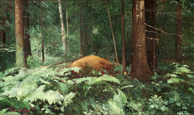Репродукция картины 'В лесу' Шильдер Андрей Николаевич. Купить