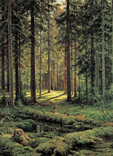 Репродукция картины 'Хвойный лес. 1895г.' Шишкин Иван Иванович. Купить