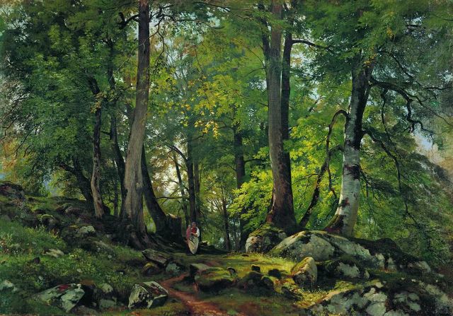 Буковый лес в Швейцарии 1863-1864