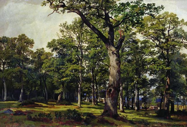 Дубовый лес 1869