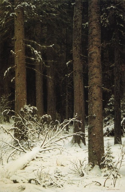 Еловый лес зимой 1884