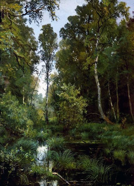 Заросший пруд у опушки леса. Сиверская. 1883