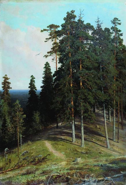 Лес с горы. 1895