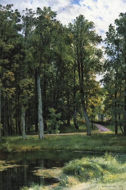 Лесная дорога 1897