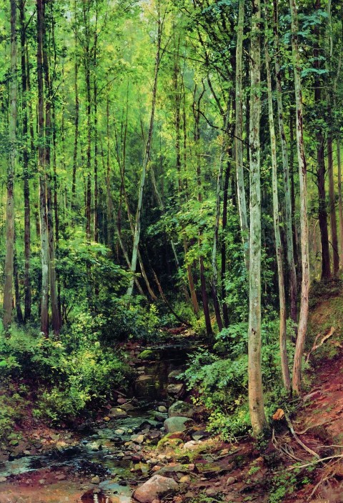Лес-осинник. 1896