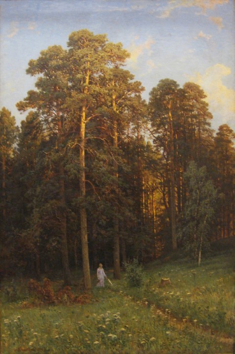 На опушке соснового леса 1882