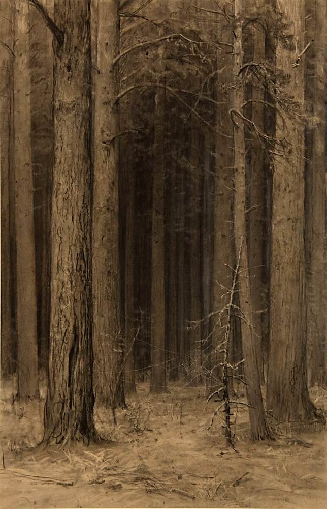 Паутина в лесу 1880-е