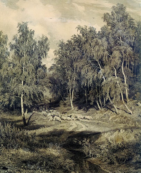 Пейзаж с гуртом овец 1870-Е