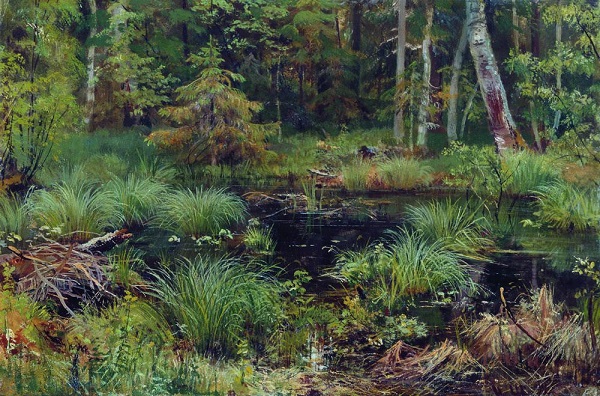 Родник в лесу 1892