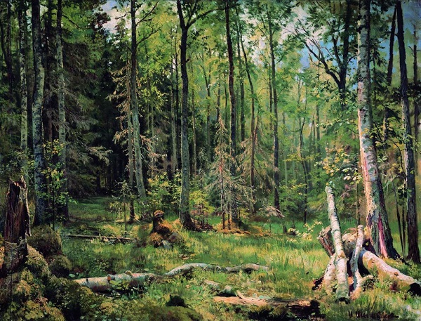 Репродукция картины 'Смешанный лес (Шмецк близ Нарвы) 1888' Шишкин Иван Иванович. Купить