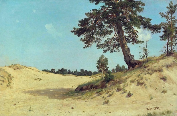 Сосна на песке 1884