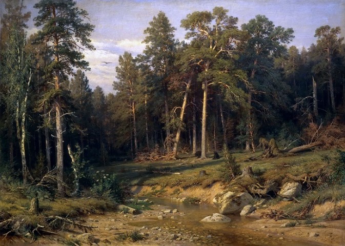 Сосновый бор. Мачтовый лес в Вятской губернии 1872
