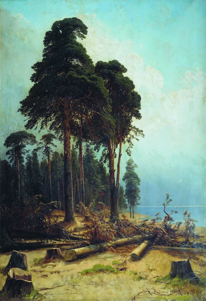 Сосновый лес 1883- 1894