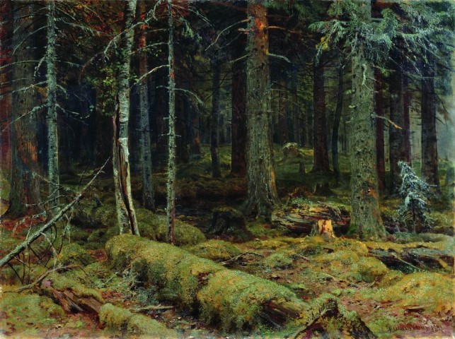 Тёмный лес 1890