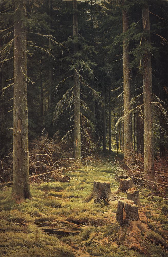 Хвойный лес 1873