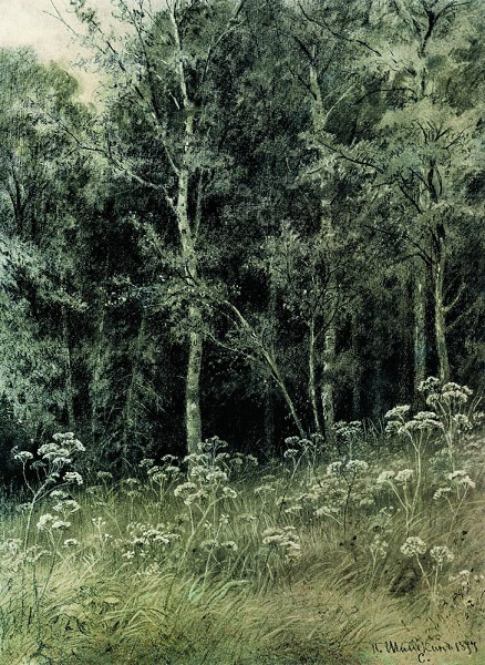 Репродукция картины 'Цветы в лесу 1877' Шишкин Иван Иванович. Купить