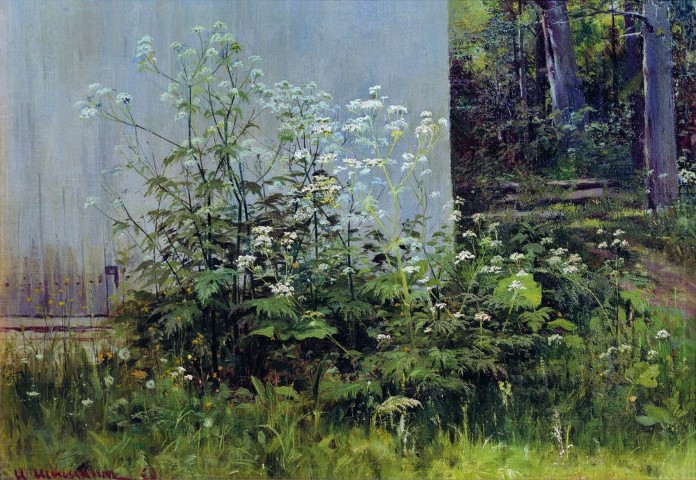 Цветы у забора. Середина 1880-х