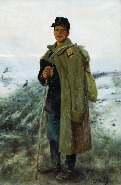 На родину. Герой минувшей войны. 1878