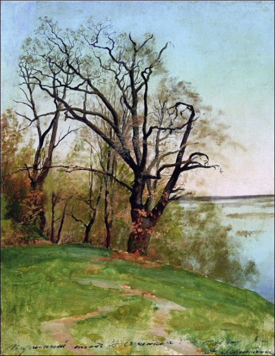 Дуб на берегу реки. 1887