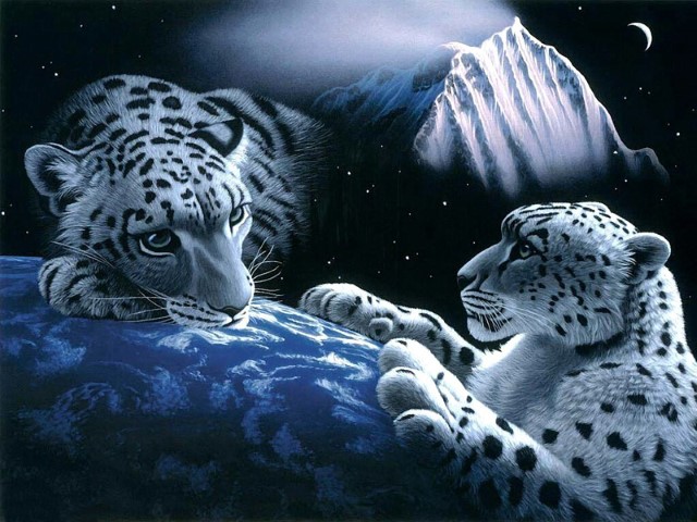 Белые леопарды