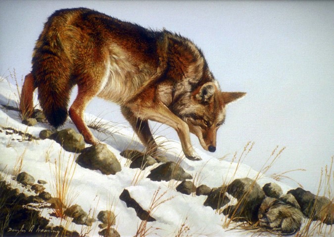 Волчья охота