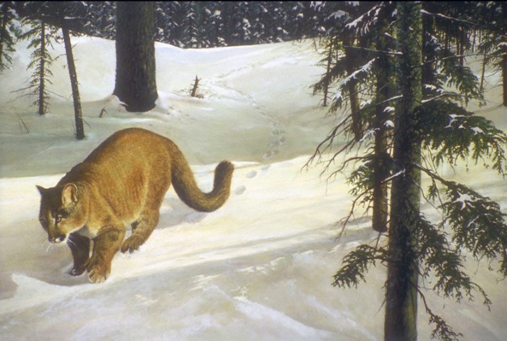 Репродукция картины 'Охота зимой' . Купить