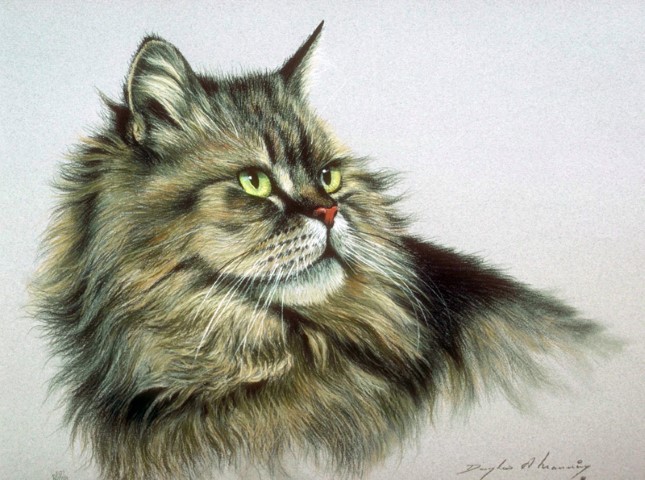 Сибирский кот