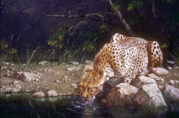 Леопард, пьющий воду