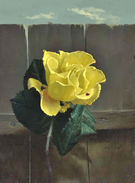 Желтая роза II