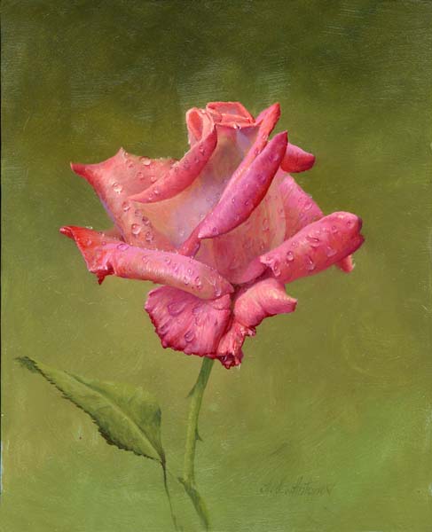 Розовая роза V